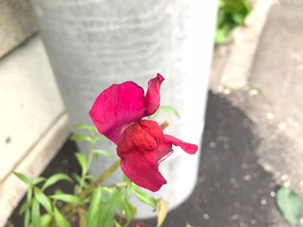 rblog-20180628172024-03.jpg