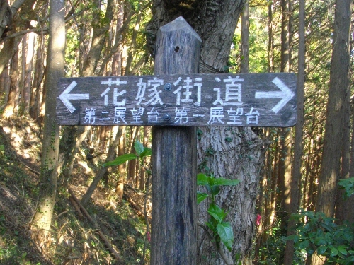 花嫁街道登山道 (4) (500x375).jpg