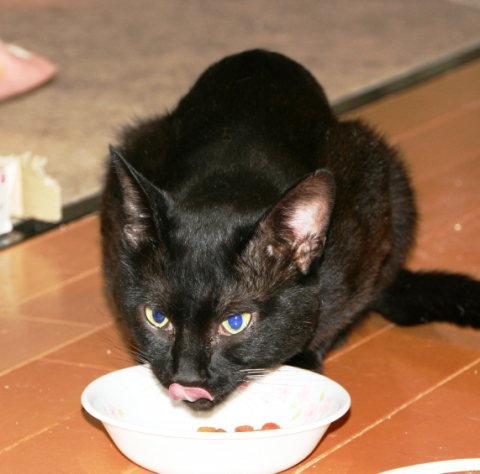 20120719ﾀｸ02.jpg