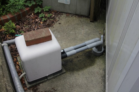 IMG_8271.JPG