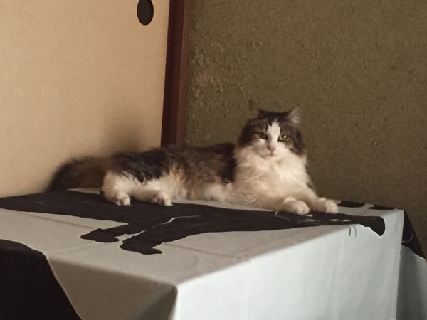 rblog-20150821224318-04.jpg