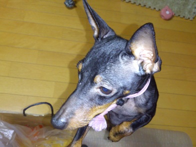 DSC_1041.jpg