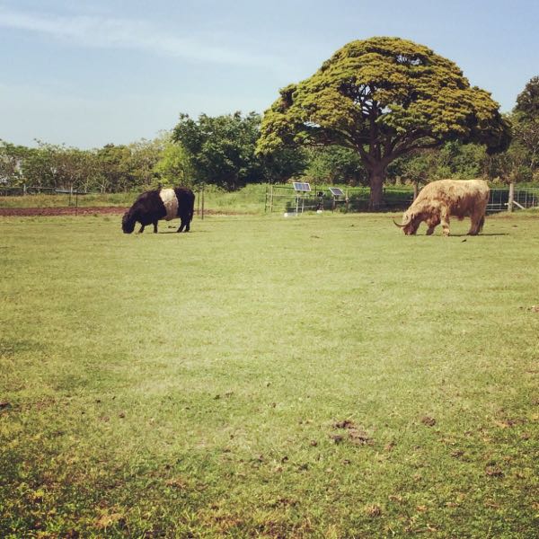 rblog-20150507182751-01.jpg