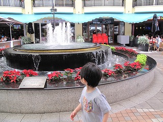 IMG_5177.jpg