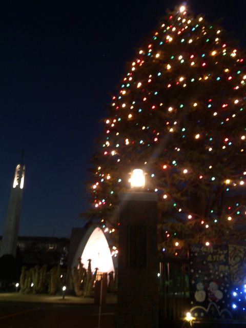 2012-12-14 17.14.03.jpg