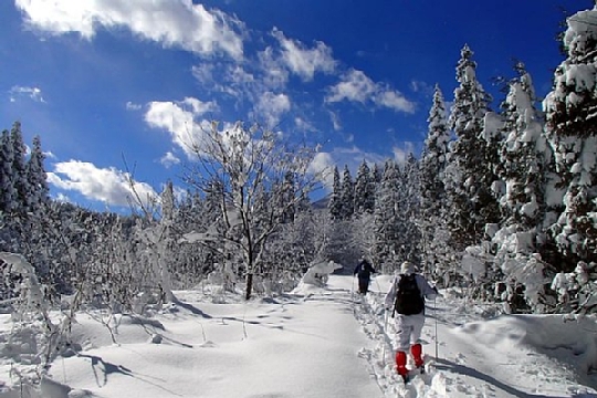 03 スノーシュー２.jpg