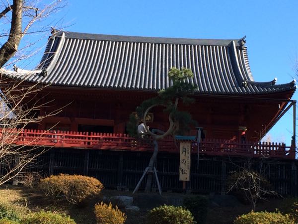 rblog-20150112120814-00.jpg