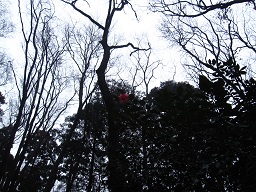 IMG_7249.JPG