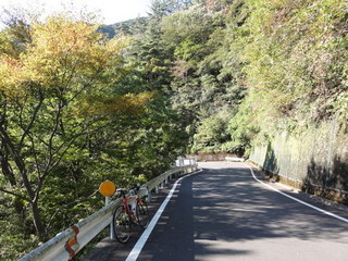 20111016箱根古道下り