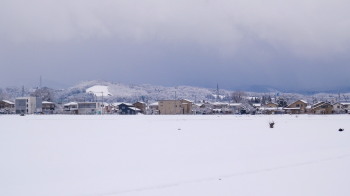 雪原　2.13　2015