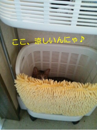 20120801_3.jpg