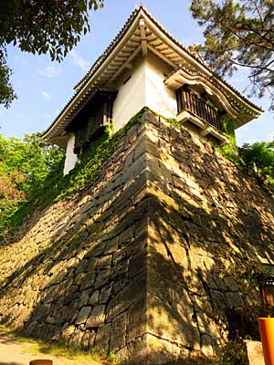 IMG_2381.jpg