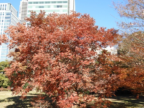 旧芝離宮恩賜庭園