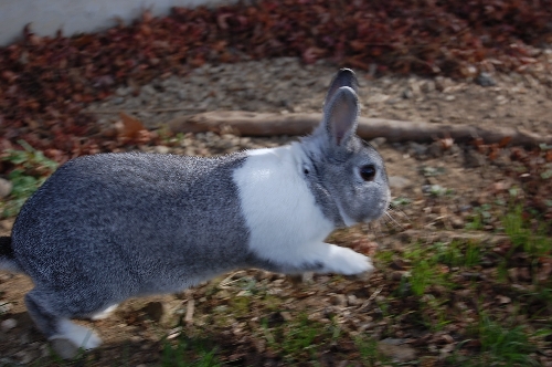 DSC_0042.JPG