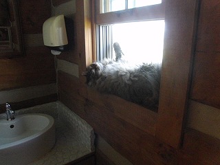 作業用画像その２ 292.jpg