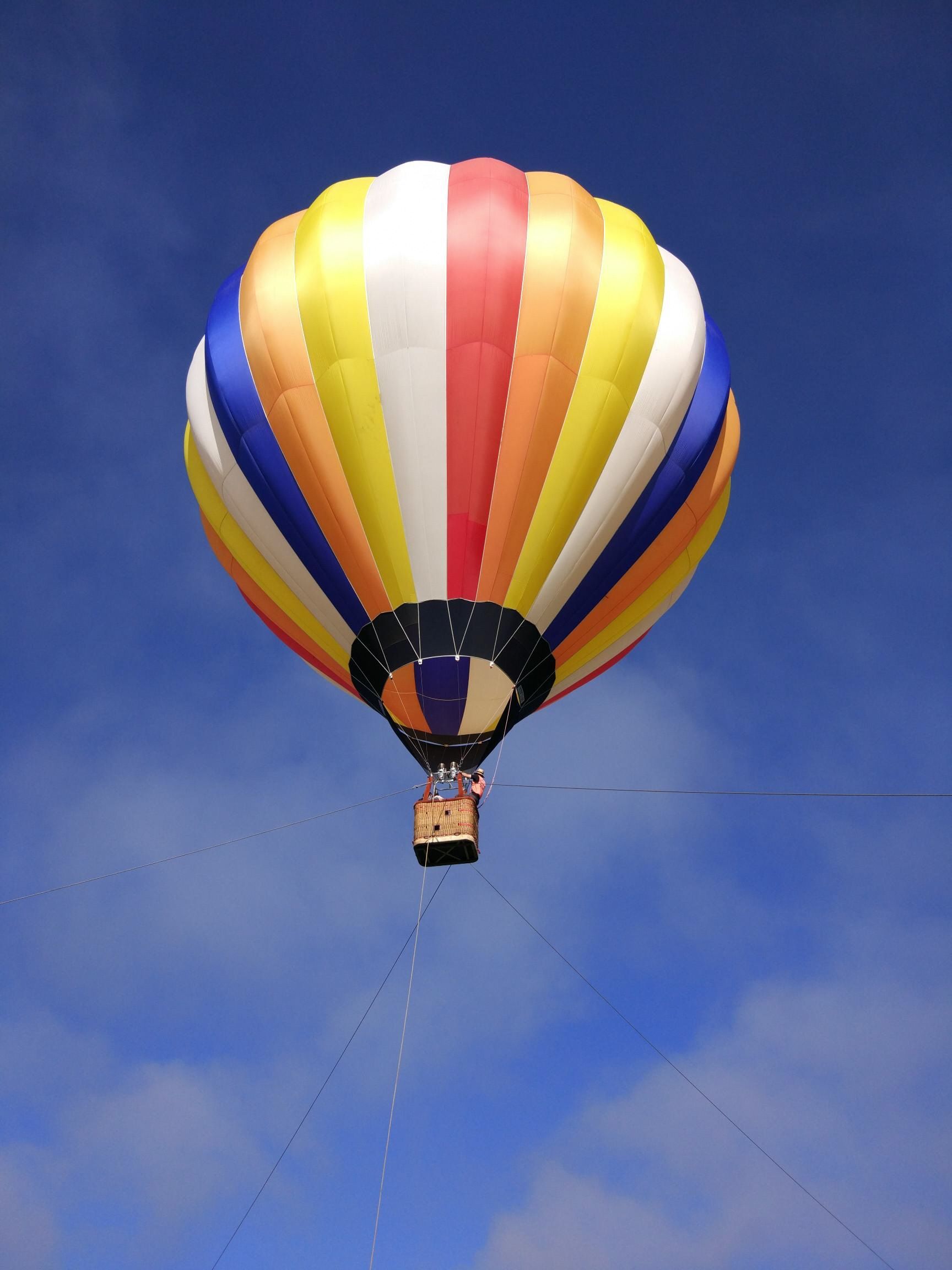 さぬき夢気球フェスタ開催 熱気球に乗って 空から香川の絶景を楽しもう うどん県それだけじゃない香川県ブログ 楽天ブログ