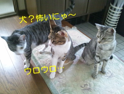 20120915_2.jpg