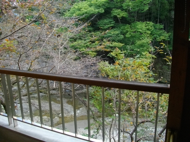 黒目川と秩父アミューズメント＆和銅 192.JPG