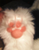 DSC08908.jpg