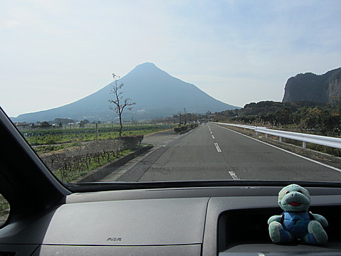 IMG_2839.jpg