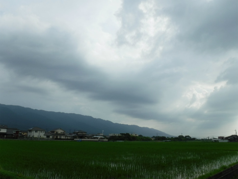 DSCF1634.jpg