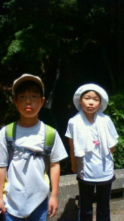 201205261025000.jpg