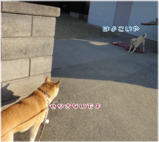 0127朝2.jpg