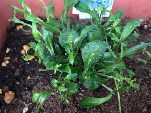 rblog-20180328191417-01.jpg