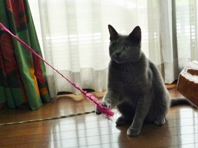 P1240605 - コピー.JPG
