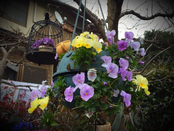 rblog-20160328170802-00.jpg