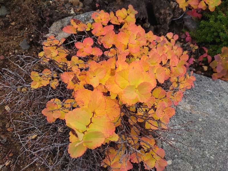 登山も人生も | いきいき宋休記 - 楽天ブログ