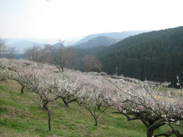 IMG_7842.JPG