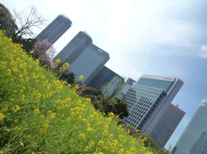 2012.04.15浜離宮庭園10.jpg