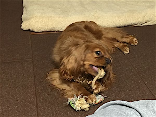 rblog-20160420215903-01.jpg