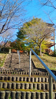 上の階段