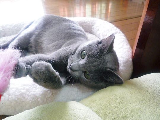 2015年01月12日_P1210543.jpg