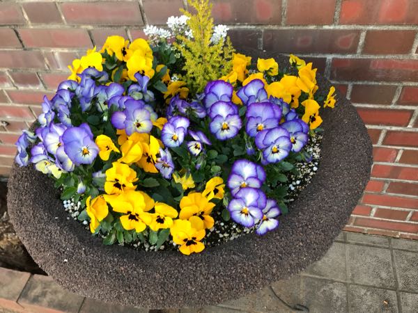 rblog-20180325191037-05.jpg