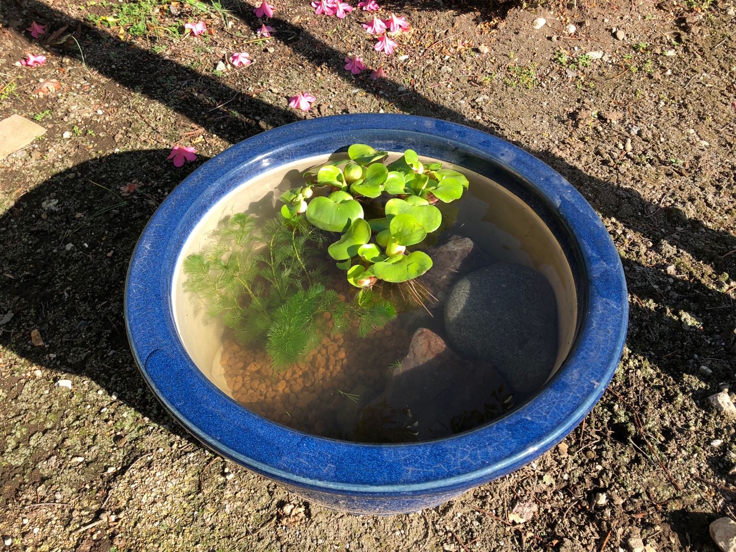 釣り 日々の生活 楽天ブログ
