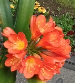 DSCF3395.JPG