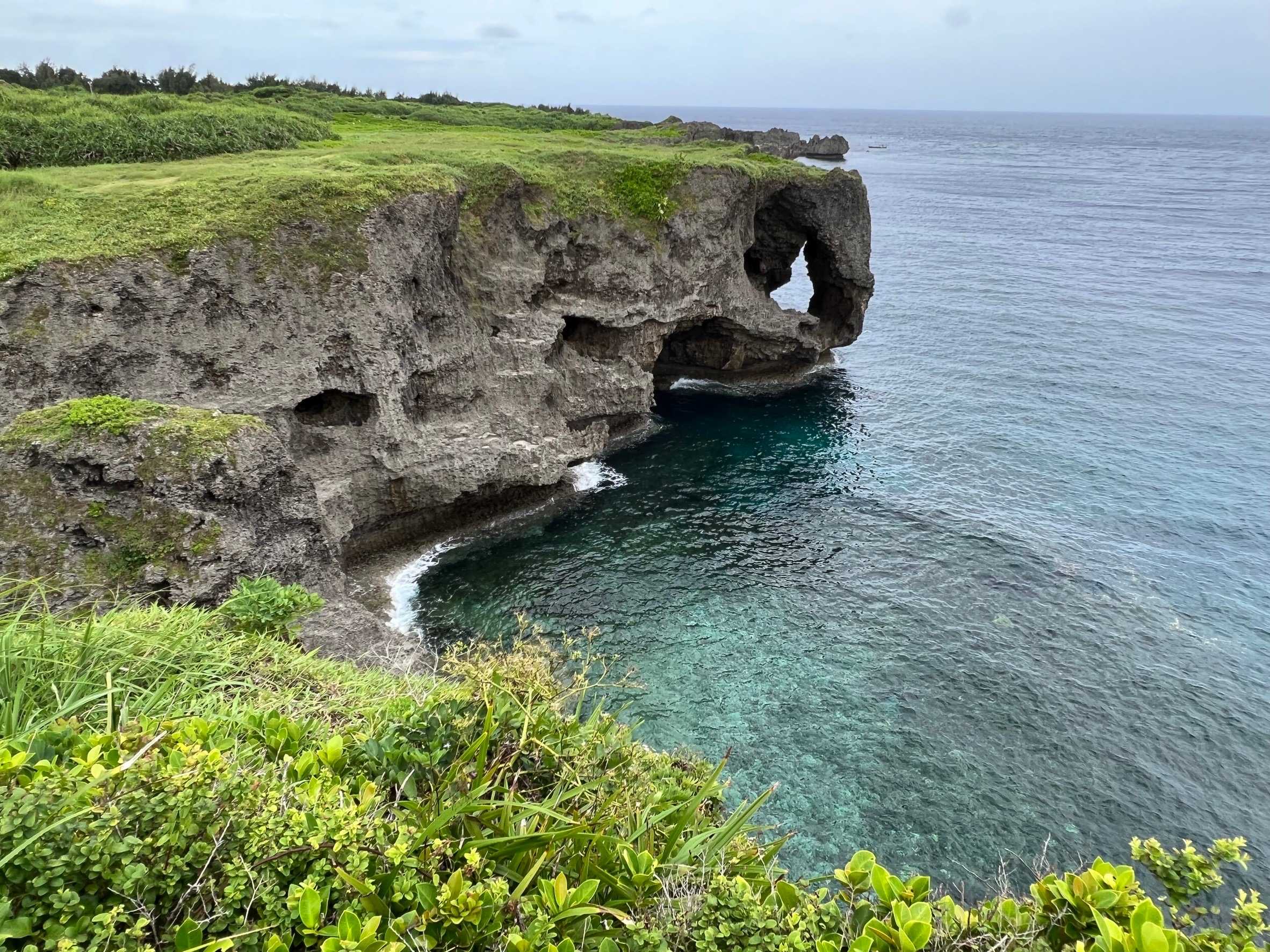 ゆきゆきの《そよ風情報》 楽天ブログ
