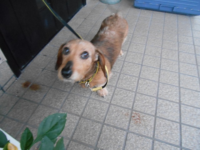 DSCN1095.JPG