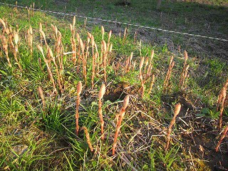 2012040417050000.jpg