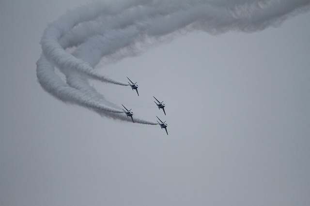 IMG_4740.jpg