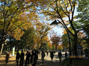 紅葉 131121-578b.jpg