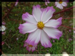 DSC01321.JPG