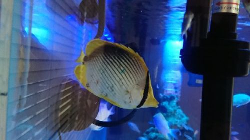 rblog-20170615113021-00.jpg