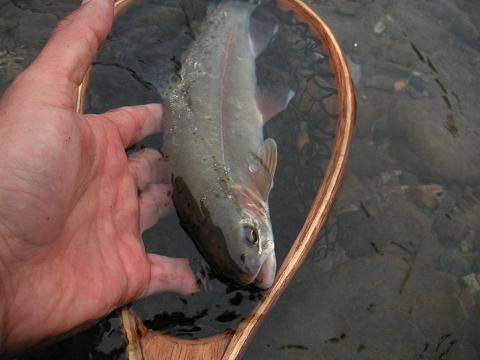 2012.04.30 005S.JPG