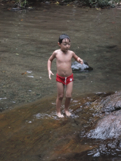 3.gif