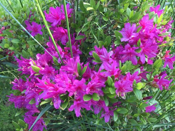 rblog-20180505160301-07.jpg