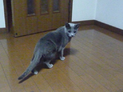 P1220645.JPG